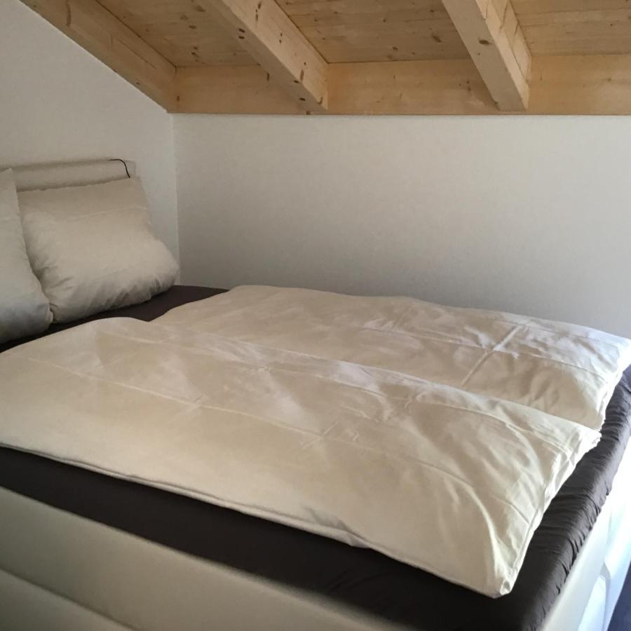 Vista-Apartments Ebersbach  Екстер'єр фото
